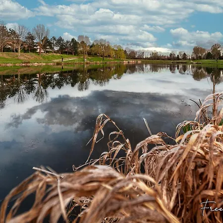 Feriehus Magny's Oasis - Disneyland 5min - Private Parking - Terrace & Garden Magny-le-Hongre